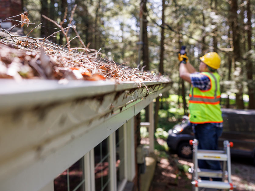 Late Summer Reminder: Clean Your Gutters!